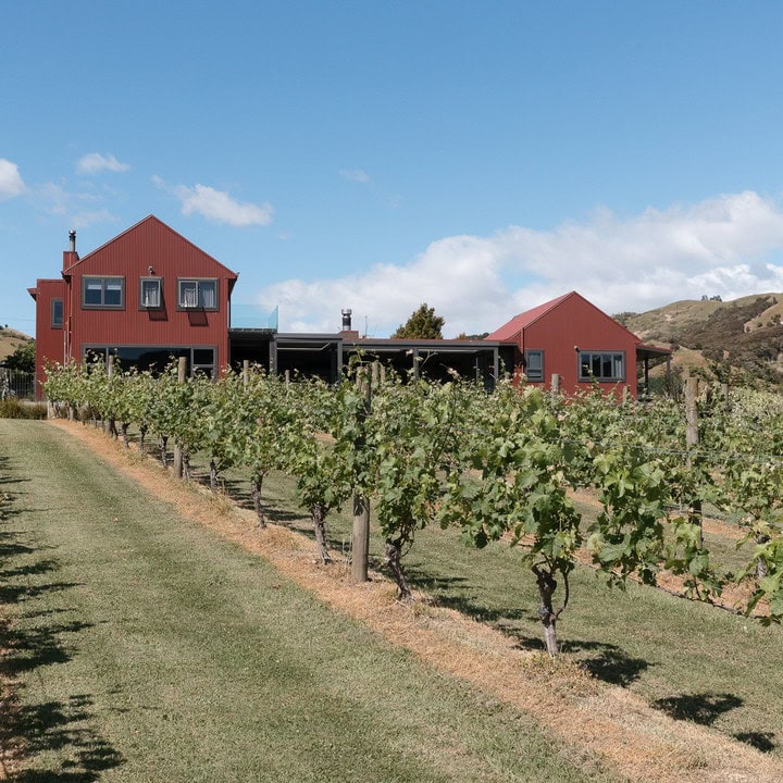 Kiwiesque lodge and vineyard