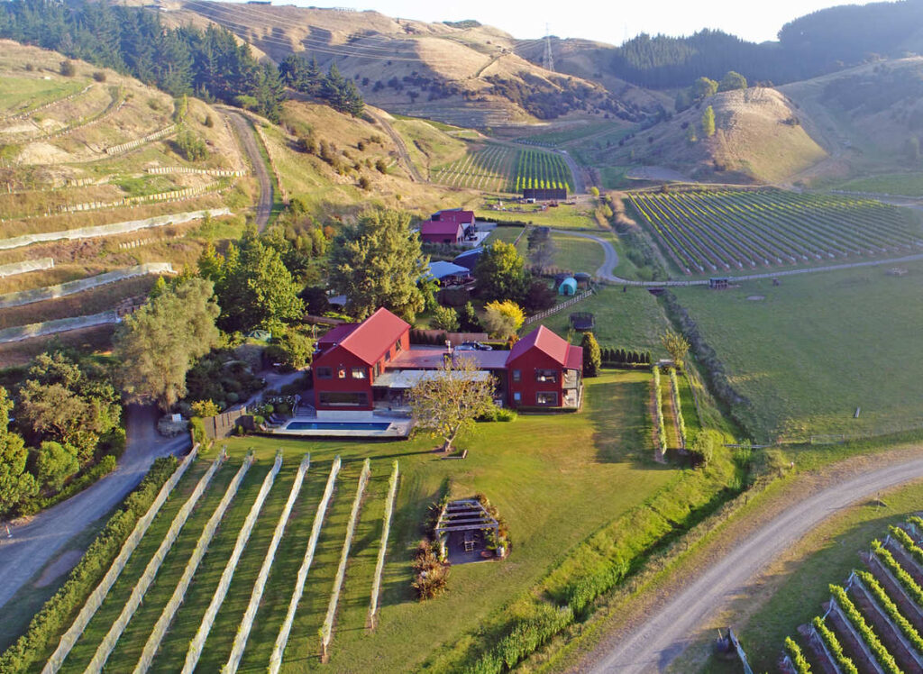 Luxury Vineyard For Large Groups Hawkes Bay